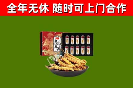 封丘县回收冬虫夏草价格